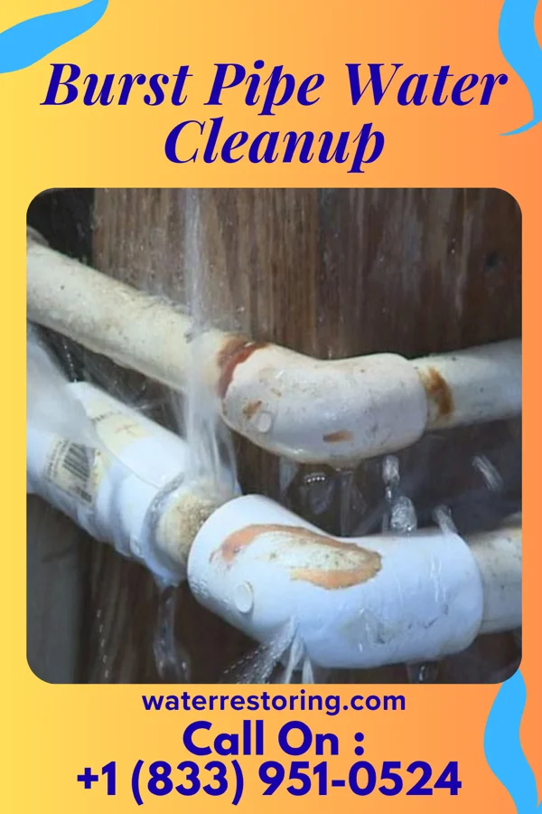 Burst Pipe Water Cleanup in Haviland, OH