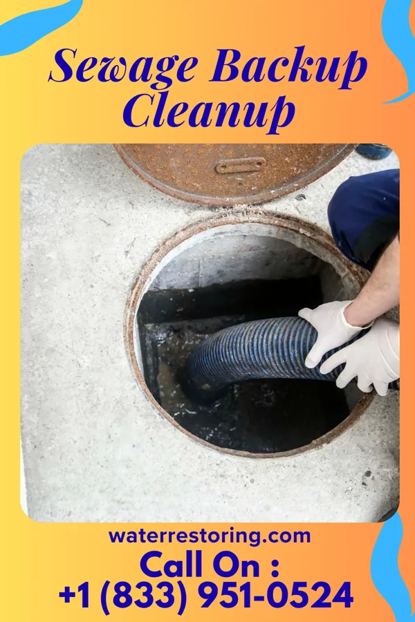 Sewage Backup Cleanup in Haviland, OH
