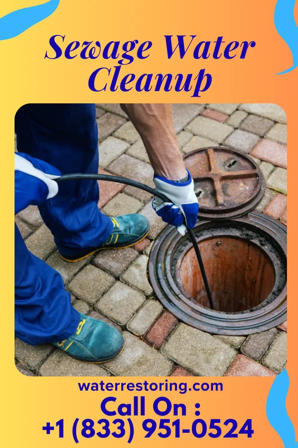 Sewage Water Cleanup in Haviland, OH