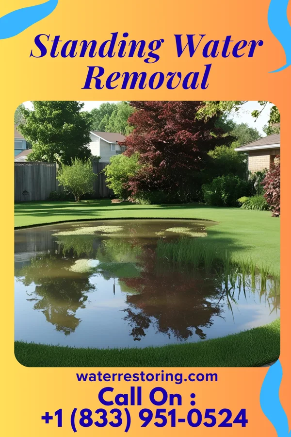 Standing Water Removal in Haviland, OH